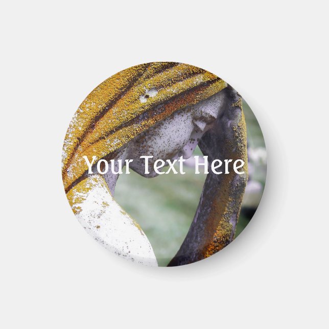 Falln A Quiet Interlude Magnet (Front)
