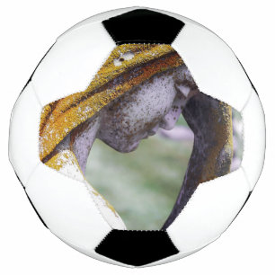 Falln A Quiet Interlude Soccer Ball