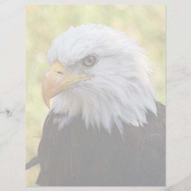 Falln Bald Eagle Liberty (Front)