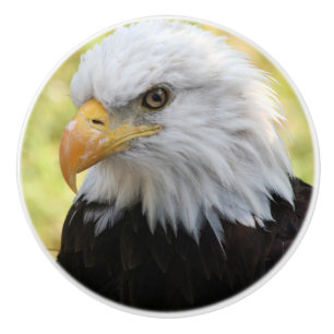 Falln Bald Eagle Liberty Ceramic Knob