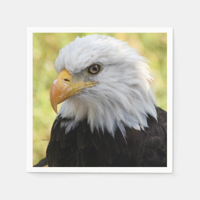 Falln Bald Eagle Liberty Napkin (Front)