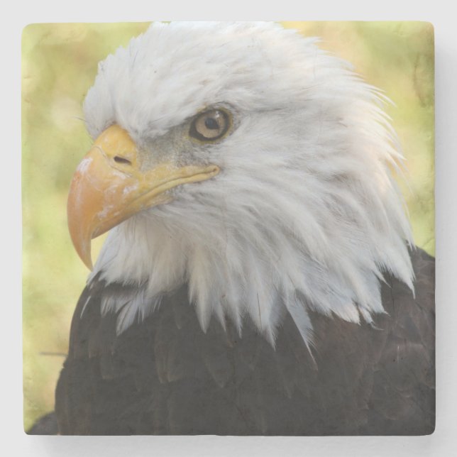 Falln Bald Eagle Liberty Stone Coaster (Front)