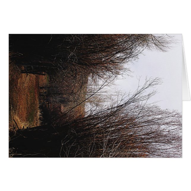 Falln Bannack Overgrowth (Front Horizontal)
