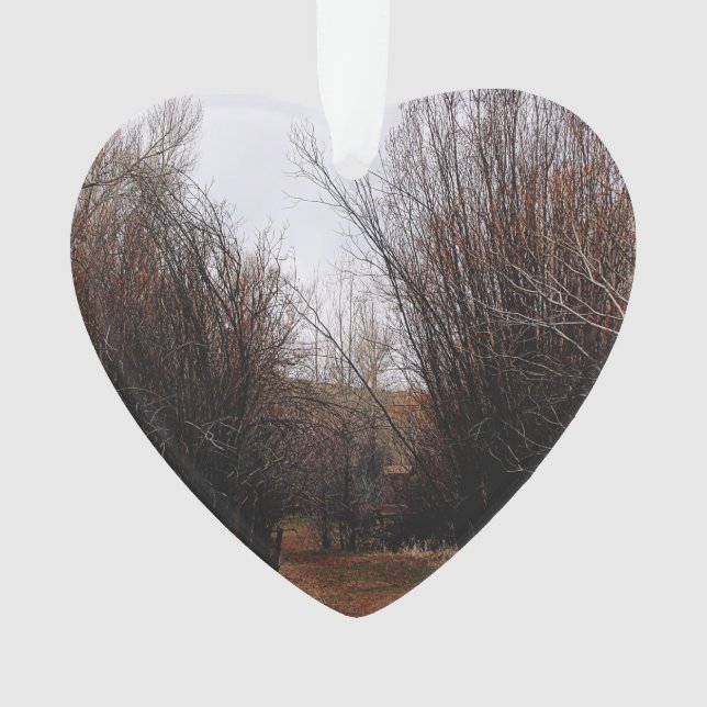Falln Bannack Overgrowth Ornament (Front)