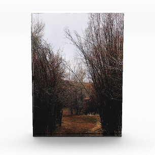 Falln Bannack Overgrowth Photo Block