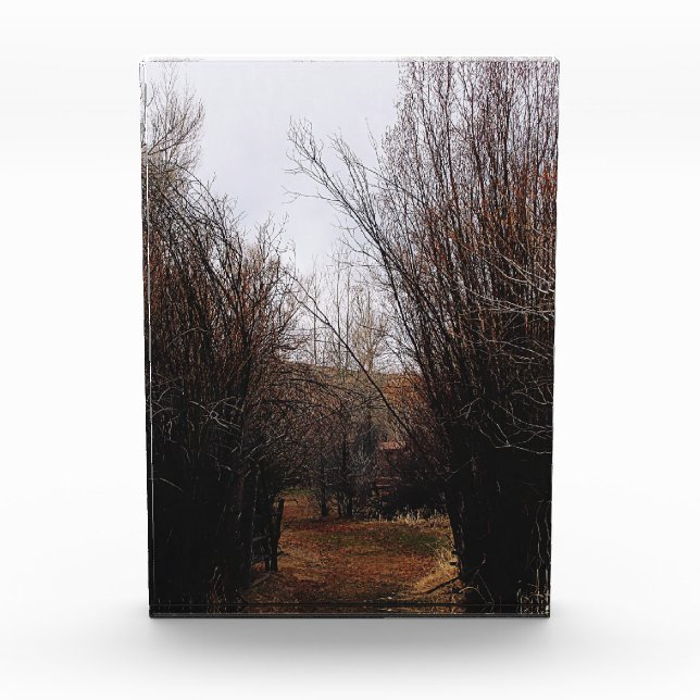 Falln Bannack Overgrowth Photo Block (Front)