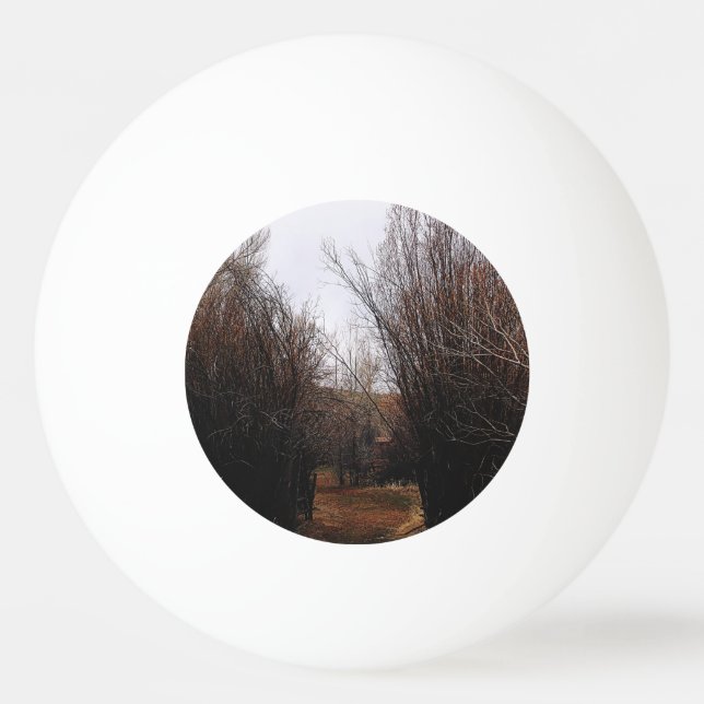 Falln Bannack Overgrowth Ping Pong Ball (Front)