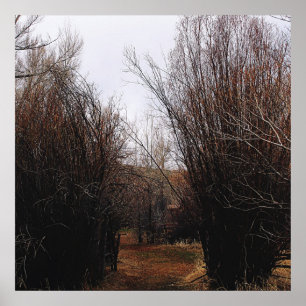 Falln Bannack Overgrowth Poster