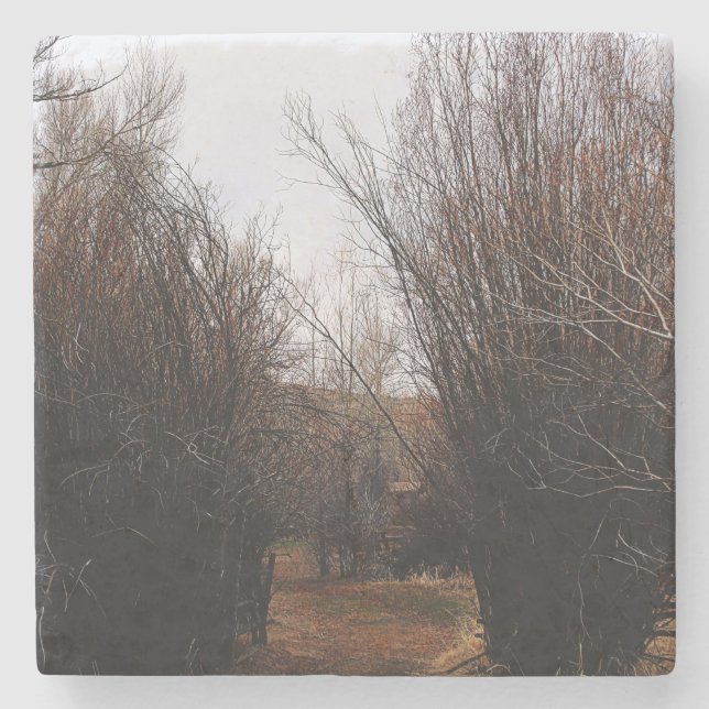 Falln Bannack Overgrowth Stone Coaster (Front)