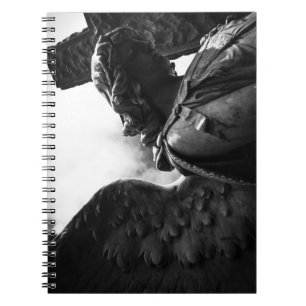 Falln Between Darkness and Light Notebook