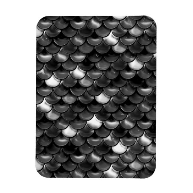 Falln Black and White Scales Magnet (Vertical)