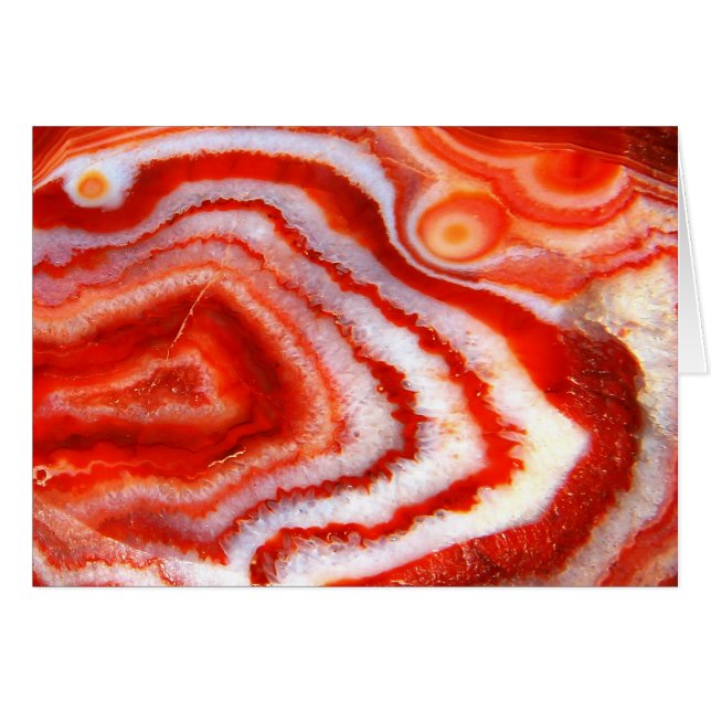 Falln Blood Orange Agate (Front Horizontal)