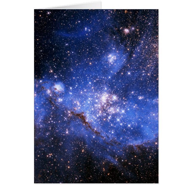 Falln Blue Embrionic Stars (Front)