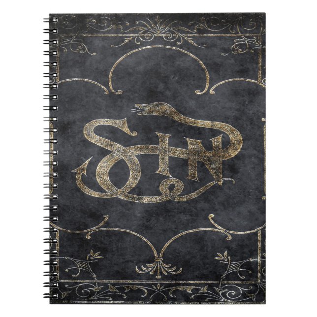 Falln Book of Sin (Front)