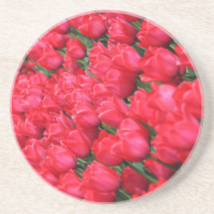 Falln Carpet of Crimson Tulips Coaster