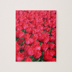 Falln Carpet of Crimson Tulips Jigsaw Puzzle