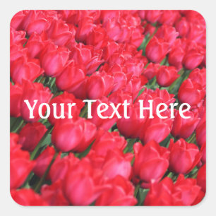 Falln Carpet of Crimson Tulips Square Sticker