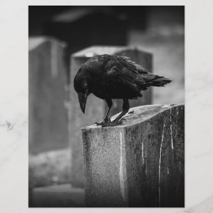 Falln Cemetery Crow