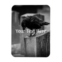 Falln Cemetery Crow