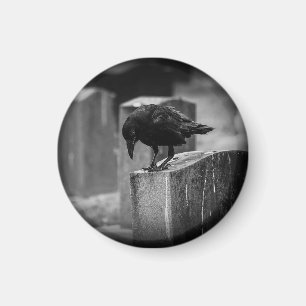 Falln Cemetery Crow Magnet