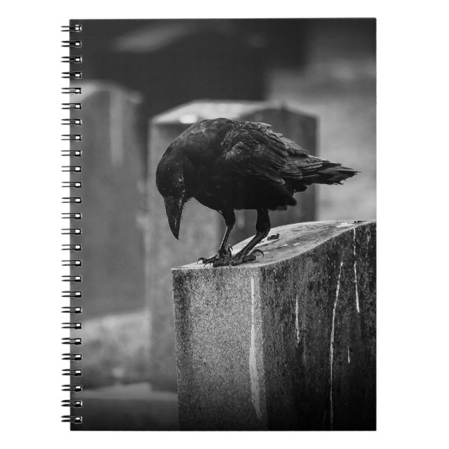 Falln Cemetery Crow Notebook (Front)