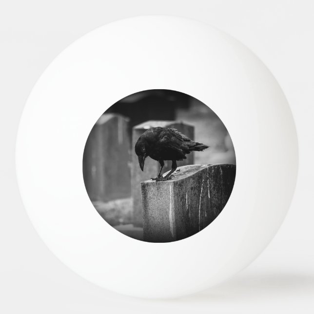 Falln Cemetery Crow Ping Pong Ball (Front)
