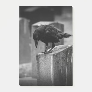 Falln Cemetery Crow Post-it Notes