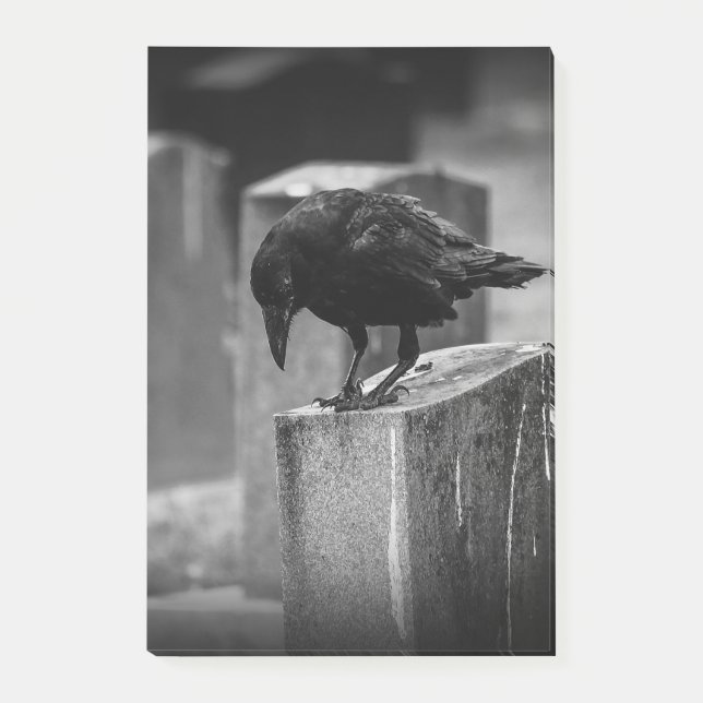 Falln Cemetery Crow Post-it Notes (Front)