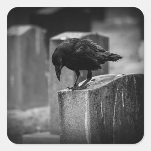 Falln Cemetery Crow Square Sticker
