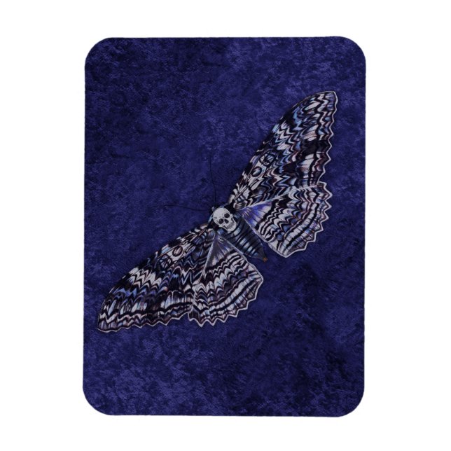 Falln Deathshead Moth Magnet (Vertical)
