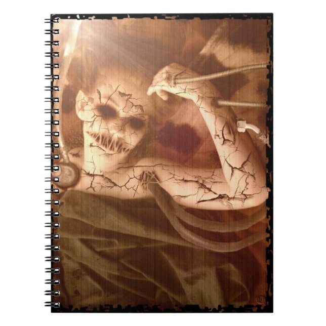 Falln Delicate Experiments Notebook (Front)