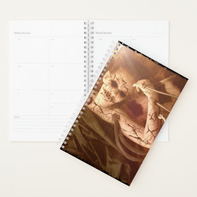 Falln Delicate Experiments Planner (Display)