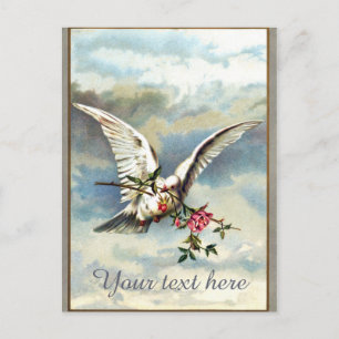Falln Dove with Roses Postcard