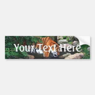 Falln Drinking Tiger Bumper Sticker