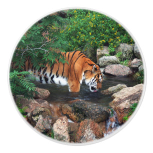 Falln Drinking Tiger Ceramic Knob