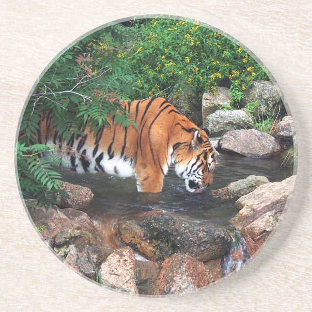 Falln Drinking Tiger Coaster (Front)