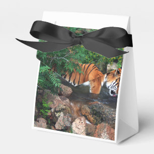 Falln Drinking Tiger Favour Box