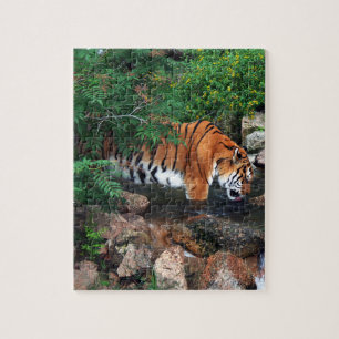 Falln Drinking Tiger Jigsaw Puzzle