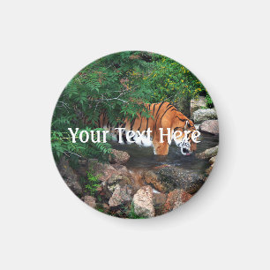 Falln Drinking Tiger Magnet