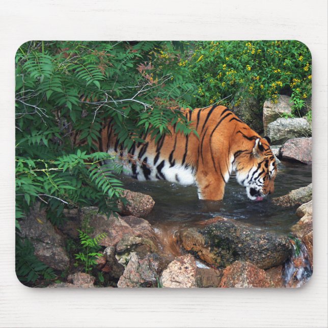 Falln Drinking Tiger Mouse Pad (Front)
