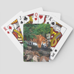 Falln Drinking Tiger Playing Cards
