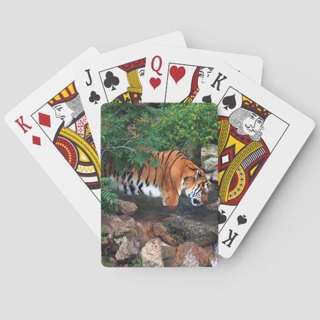 Falln Drinking Tiger Playing Cards (Back)