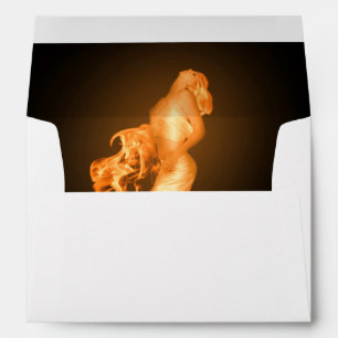 Falln Fire Envelope