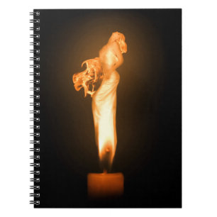 Falln Fire Notebook