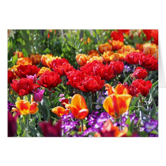 Falln Floral Crimson Waves (Front Horizontal)