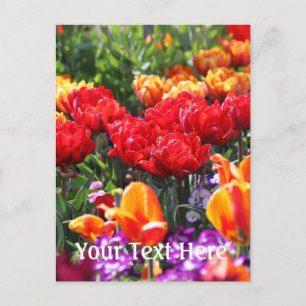 Falln Floral Crimson Waves Postcard
