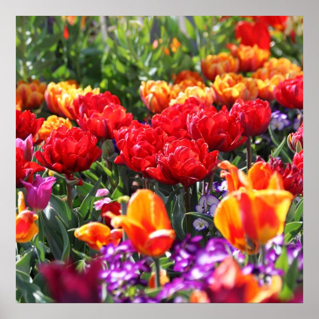 Falln Floral Crimson Waves Poster (Front)