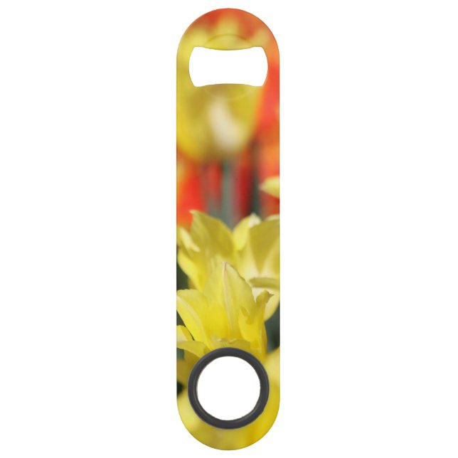 Falln Floral Summer Glow (Front)