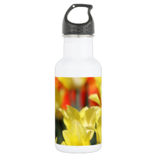 Falln Floral Summer Glow 532 Ml Water Bottle