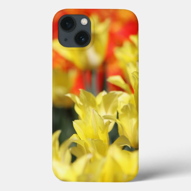 Falln Floral Summer Glow Case-Mate iPhone Case (Back)